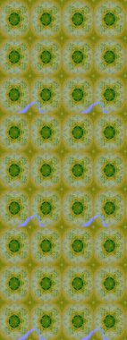 Etnik Mandala havlusu. Raster Henna tarzı. Sınır Kızılderili çiçekli paisley patten. Tebrik kartı geçmişi, boyama kitabı, arkaplan ve tekstil için kullanılabilir. Taslak süsleme izi.