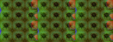 Güzel kumaş deseni. Raster illüstrasyonu. Bahar çiçekli güzel bir çiçek deseni..