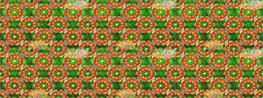 Lüks, kraliyet ve Viktorya dönemi konsepti. Raster klasik barok çiçeksiz altın desenli. Süslü dekorasyon. Yeşil ve turuncu renklerdeki altın desenli altın elementler.