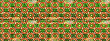 Lüks, kraliyet ve Viktorya dönemi konsepti. Raster klasik barok çiçeksiz altın desenli. Süslü dekorasyon. Yeşil ve turuncu renklerdeki altın desenli altın elementler.