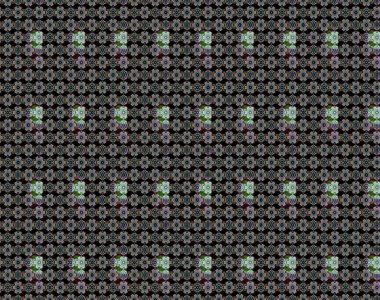 Çiçek deseni. Siyah ve gri renkte çiçek çizimi. Şatafatlı bahar bahçesi dokusu. Raster illüstrasyonu. Siyah ve gri renkte çiçekler.