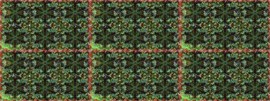 Antika altın tekrarlanabilir duvar kağıdı. Altın element gri ve yeşil renklerde. Damask pürüzsüz yineleme kalıbı. Barok tarzında altın çiçekli süs..