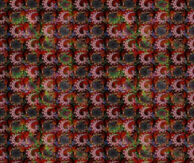 Raster. Sabıka fotoğraflarında, bebek kıyafetlerinde, duvar kâğıtlarında, paket kutularında falan kullanılabilir. Zarif, parlak ve eskiz kahverengi çiçek deseni tasarımı.