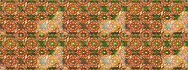 Geleneksel klasik altın desen. Barok tarzında kusursuz bir doğulu süsü. Kahverengi ve turuncu renklerde altın desenli altın elementler. Raster doğulu süsü.