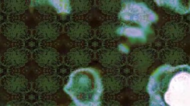 Renkli unsurlarla hareketli arka plan görüntüleri. Çiçekler. Eski model. Bayrak tarzı. Video kaydı. Şablon. Döngü. Kusursuz.. 