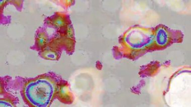 Renkli unsurlarla hareketli arka plan görüntüleri. Çiçekler. Eski model. Bayrak tarzı. Video kaydı. Şablon. Döngü. Kusursuz.. 