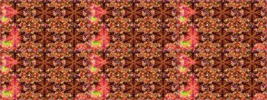 Kahverengi ve kırmızı renkler üzerinde klasik oryantal desen. Damask pürüzsüz süsü. Geleneksel raster ve altın desen.