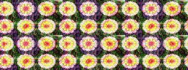 Çiçekli karalama şeklinde Raster çiçek deseni. Sarı ve yeşil renkli çiçekler. Yumuşak, yaz çiçekli arka plan.