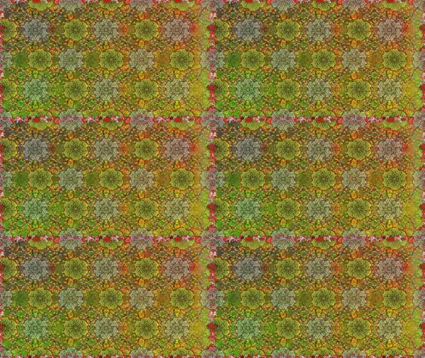 Yumuşak, bahar çiçekli arka plan. Yeşil ve kahverengi renkli çiçekler. Raster çiçek desenli ve çiçekli..