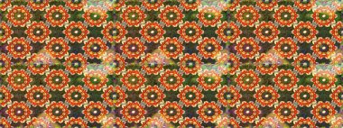 El yapımı dekoratif çerçeve, albüm kapağı, tebrik kartı, klasik Art deco tarzı. Altın karalama fantezi yapraklarından ve kahverengi ve turuncu renklerde çiçeklerden oluşan soyut bir çelenk..