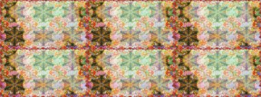 Düz elle çizilmiş klasik koleksiyon. Raster altın pürüzsüz desen. Arkaplan, kumaş, altın duvar kağıdı. Tarafsız ve bej renklerde altın desenli altın elementler.