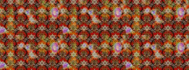 Renkli Bahar Teması eskiz kalıbı. Düz Çiçek Elementleri Tasarımı. Raster..