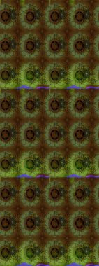 Büyük bir çiçek boyası seti. Kartlar, davetiyeler, tarih kartları ve daha fazlası için kullanılabilir. Raster şirin suluboya çiçek deseni çizimi.