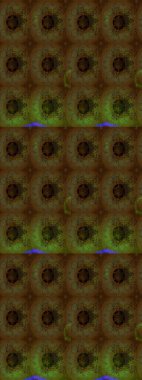 Sevgililer günü ve tebrik kartı konsepti için şık bir davetiye. Üst manzara, yumuşak stil. Çiçek kompozisyonu, el boyası, hassas şablon. Renklerde manzaralı çiçek deseni.