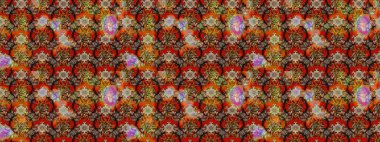 Renkli Bahar Teması eskiz kalıbı. Düz Çiçek Elementleri Tasarımı. Raster..