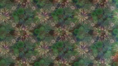 Renkli unsurlarla hareketli arka plan görüntüleri. Çiçekler. Eski model. Bayrak tarzı. Video kaydı. Şablon. Döngü. Kusursuz..