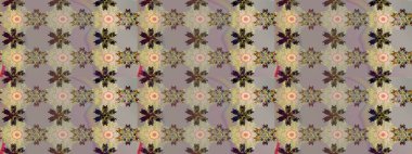 Nazik, narin çiçek arkaplanı. Gri ve bej renkli çiçekler. Raster çiçek desenli ve çiçekli..