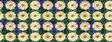 Raster çiçek desenli çiçek deseni, yapraklar, dekoratif elementler, sıçrama, lekeler, el çizimi kontur çizgileri ve Doodle çizim stili, grafik raster çizim çizimi.