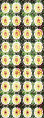 Küçük bir çiçekte eskiz deseni. Raster illüstrasyonu. Hoş bir çiçek geçmişi var. Güzel kumaş deseni.