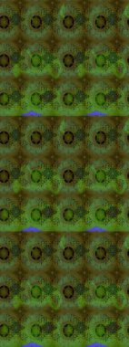 Renklerle. 3D çiçekler, eskiz. Raster illüstrasyonu.