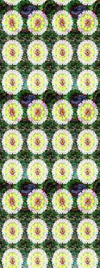 Yeşil renkli etnik çiçeklerle süslenmiş zarif bir eskiz şekli. Raster Çiçek İllüstrasyon Şirin Tekstil.