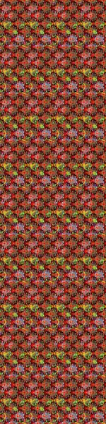 Renkli Bahar Teması eskiz kalıbı. Sevimli çiçek raster deseni. Düz Çiçek Elementleri Tasarımı. Kırmızı ve siyah renkte çiçekler.