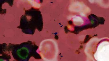 Renkli unsurlarla hareketli arka plan görüntüleri. Çiçekler. Eski model. Bayrak tarzı. Video kaydı. Şablon. Döngü. Kusursuz.. 