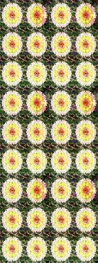 Çiçek deseni. Raster illüstrasyonu. Chichi 'nin kumaş kalıbını çiz. Renkli Bahar Teması eskiz kalıbı. Düz Çiçek Elementleri Tasarımı.