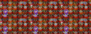 3D çiçekler, eskiz. Kahverengi ve kırmızı renklerde. Raster illüstrasyonu.