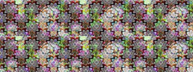 Parlak arkaplanda çiçek kompozisyonu olan suluboya desenleri çiz, ambalajlar, duvar kağıtları, kartpostallar, tebrik kartları, düğün davetiyeleri, romantik etkinlikler vs..