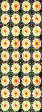 Tekrarlayan çiçek arkaplanı, zarif yeşil ve sarı çiçek duvar kağıdı. Yeşil ve sarı renkler üzerine çiçek desenli çizimler, el yapımı papatyalar, papatyalar.