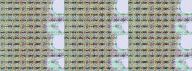 Tarafsız ve gri renklerde çiçekler. Raster illüstrasyonu. Asya tekstil tarzında. Raster illüstrasyonu. Kusursuz çiçek deseni.