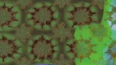 Renkli unsurlarla hareketli arka plan görüntüleri. Çiçekler. Eski model. Bayrak tarzı. Video kaydı. Şablon. Döngü. Kusursuz.. 