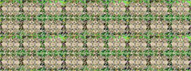 Çiçekli zambakların eskiz geçmişi. Çiçek tasarımı için inanılmaz bir kolaj cenneti tarzı. Parlak çiçekli kolaj çiçekleri bej ve nötr.