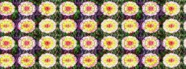 El yapımı çiçek ve bitki koleksiyonu. Eskiz tarzı sarı ve yeşil renklerde. Şirin karalamalı çiçek desenli çizim. Raster illüstrasyonu. Raster illüstrasyonu.