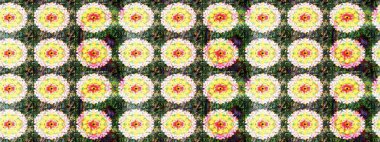 Halk tarzı. Parlak renkli çiçekleri ve yeşil ve sarı renklerde yaprakları olan şaşırtıcı, pürüzsüz çiçek deseni. Moda baskıları için zarif bir şablon. Modern çiçek arkaplanı.