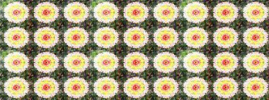Küçük yeşil ve nötr çiçeklerle oldukça eski bir besin torbası deseni. Tekstil, kumaş, kapaklar, duvar kağıtları, baskı, naylon, yapıştırma, örgü, dekupaj için çiçeksiz arkaplan.