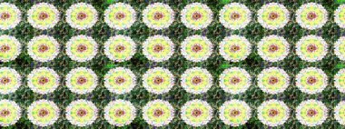 Raster illüstrasyonundaki çiçek desenli çizim. Güzel kumaş deseni. Düz Çiçek Elementleri Tasarımı. Renkli Bahar Teması çizim şablonu.