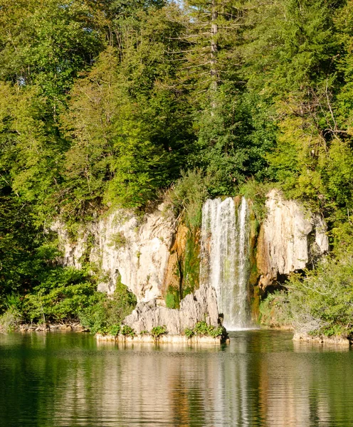 Cachoeira Num Lago Meio Uma Floresta Onde Você Pode Ver — Fotografia de Stock