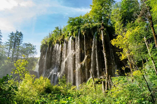 Waterval Een Meer Midden Een Bos Prachtige Natuur Zien Gaan — Stockfoto