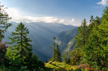 Slovenya dağlarındaki doğal bir bakış açısından güzel bir manzara. Güneşli bir günde, tepede parlayan güneş ışınları..