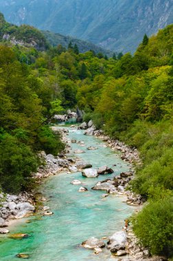 Slovenya 'da dağları olan bir ormandaki güzel turkuaz Soca nehir vadisi. Bu doğal güzellikte bir yürüyüş için mükemmel bir yaz günü..