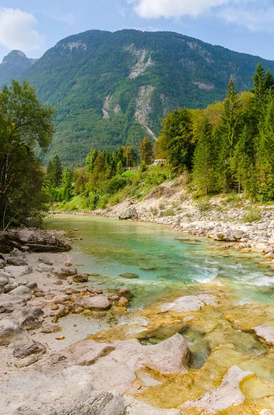 スロベニアの山々と森の中の美しいターコイズソカ川の渓谷 完璧な夏の日 カヤックや崖ジャンプに最適な水 — ストック写真