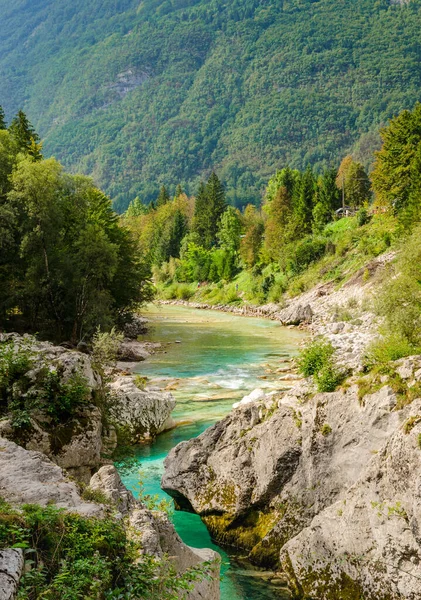 Hermoso Valle Del Río Soca Turquesa Bosque Con Montañas Eslovenia — Foto de Stock