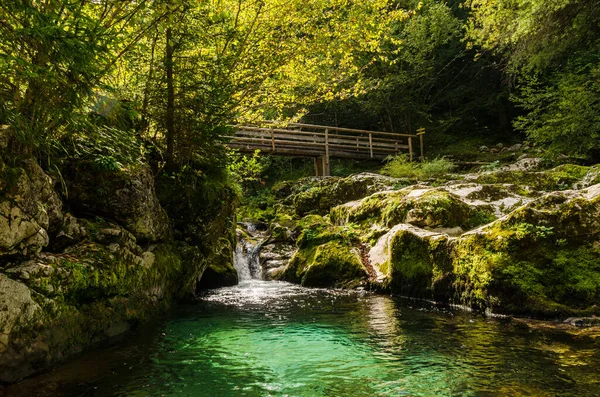 Slovenya Bir Ormanda Şelalesi Ahşap Köprüsü Olan Güzel Bir Turkuaz — Stok fotoğraf