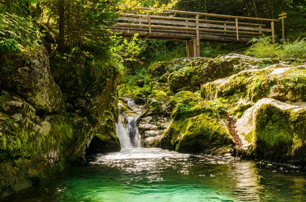 슬로베니아의 속에는 아름다운 청록색 유역에 폭포가 나무로 다리가 알프스산맥을 하이킹하기에 — 스톡 사진