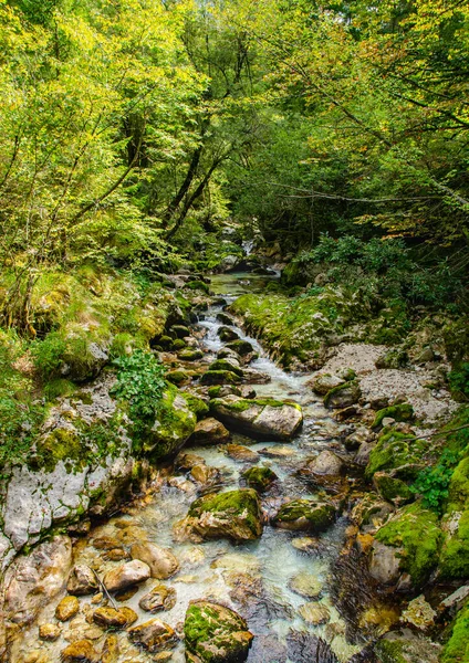 Prachtige Turquoise Soca Rivier Vallei Een Bos Met Bergen Slovenië — Stockfoto