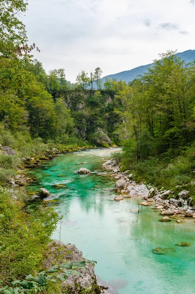 美丽的绿松石Soca河谷在一个森林与山脉在斯洛文尼亚 在这个自然美景中远足的完美夏日 — 图库照片
