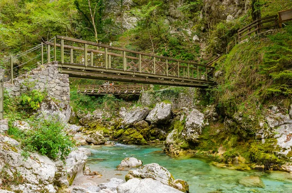 Slovenya Dağları Olan Bir Ormanda Tahta Köprüsü Olan Güzel Bir — Stok fotoğraf