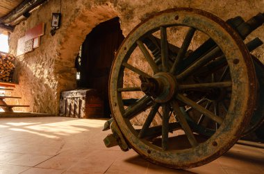 Gelin çelengi spirea - Spiraea prunifolia dalı ve bir arı tarafından döllenmiş çiçekler.